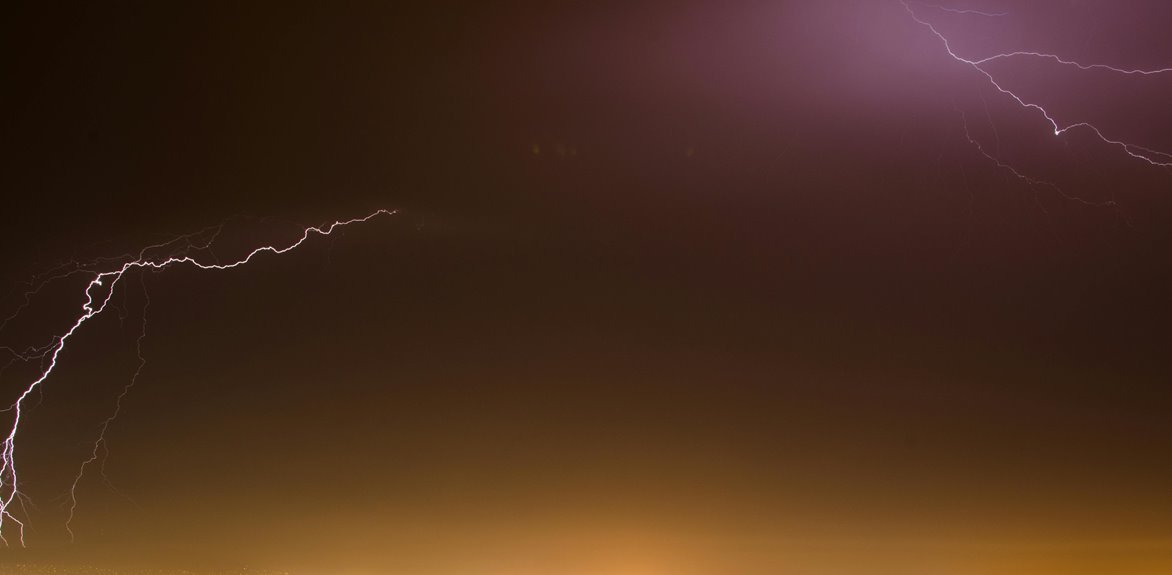 apex surge 911170541 identification