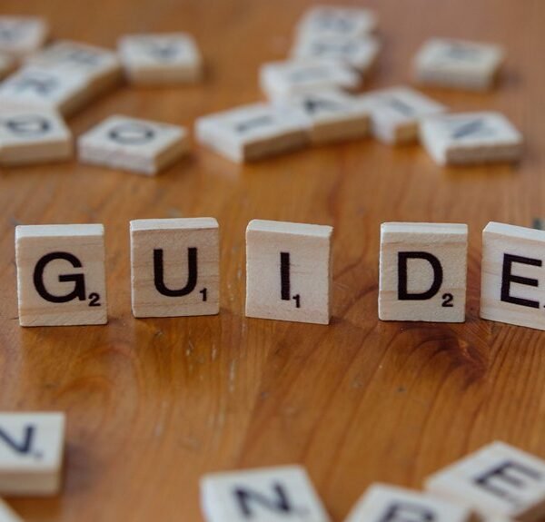 beginner s guide to