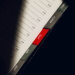 dikica kvanec schedule summary