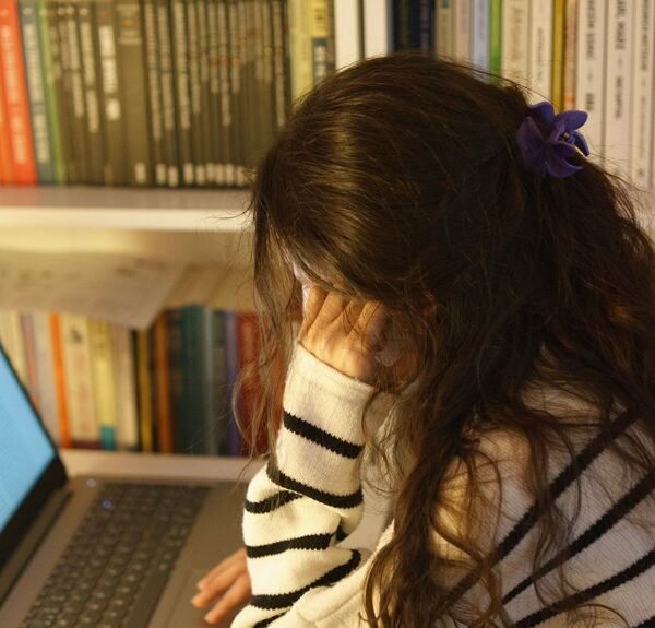 top reasons to study lanitarhoa
